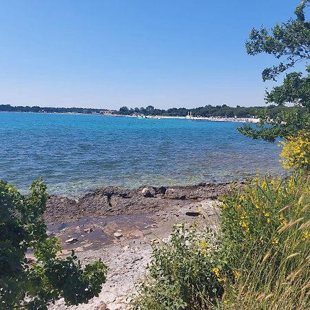 Neu Renovierte Ferienwohnung Mit Klima, Wlan, Terrasse Und Grill Póla Kültér fotó